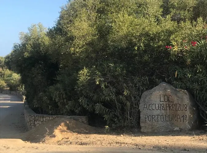 度假居 Domus Luna With Sea View 维拉西米乌斯